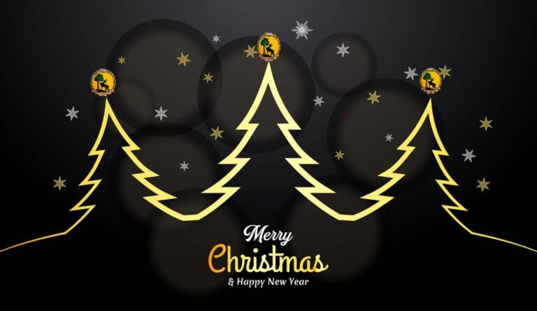 Weihnachtsfeier 2025